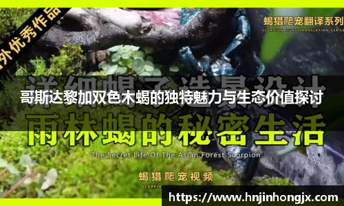 bsports官网