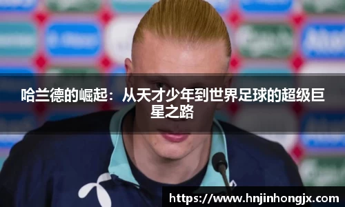 bsports官网入口